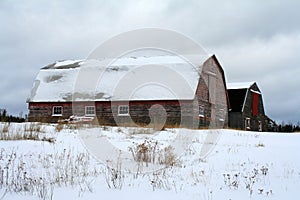 Barns In Winter