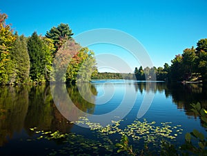 Barnum pond,adirondack state park