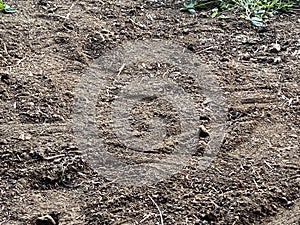 Barnyard soil and debris at barn door entrance