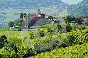 Barolo Castello di La Volta