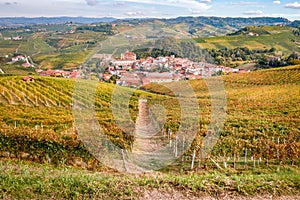 Barolo - Langhe e Roero vineyards autumn landscape photo