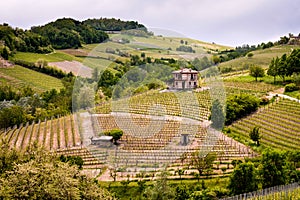 Barolo Langhe and Roero vineyards hills. Springtime landscape, Nebbiolo, Dolcetto, Barbaresco red wine. Viticulture in Piedmont, photo