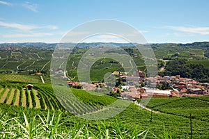 Barolo medieval town in Piedmont with vineyards, Italy
