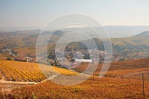 Barolo town in autumn, vineyards with yellow leaves in Italy