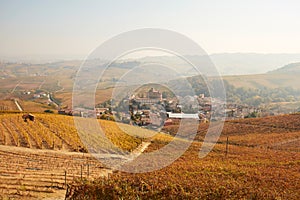 Barolo town surrounded by vineyards, autumn in Italy