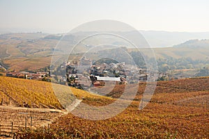 Barolo town and vineyards in autumn in Italy