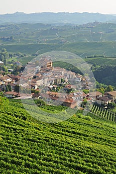 Barolo, vineyard and hills of the Langhe region. Piemonte, Italy