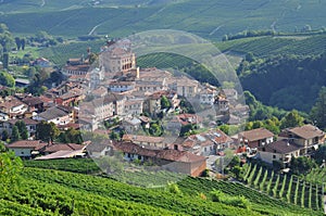 Barolo, vineyard and hills of the Langhe region. Piemonte, Italy