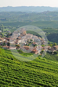 Barolo, vineyard and hills of the Langhe region. Piemonte, Italy photo
