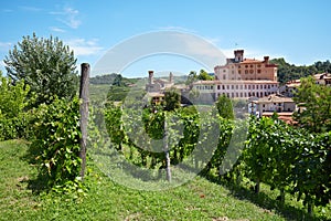 Barolo vineyards and medieval castle, blue sky in Italy