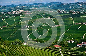 Barolo vineyards Piedmont Italy
