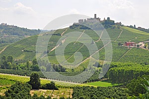 Barolo wine Alba Piedmont Italy photo