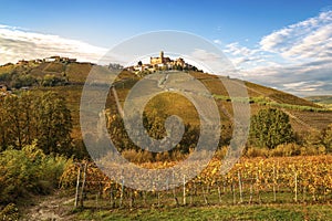 Barolo wine region, Langhe, Piedmont, Italy