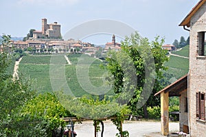 Barolo winery with vineyard Langhe Alba Italy