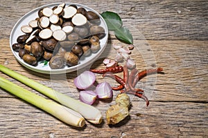 Barometer Earthstars