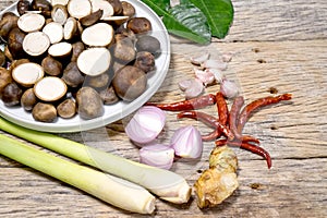 Barometer Earthstars