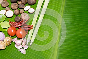 Barometer Earthstars