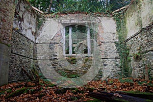 Baron Hill old stable block photo