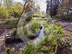 Baron\'s Haugh Nature Reserve, North Lanarkshire, Scotland. UK