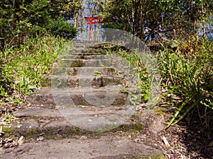 Baron\'s Haugh Nature Reserve, North Lanarkshire, Scotland. UK