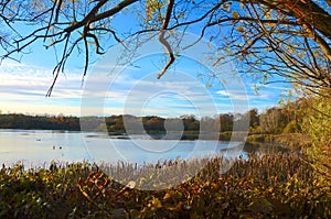 Barons Haugh bird sanctuary, Motherwell