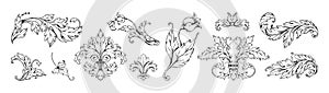 Baroque arabesque floral ornaments. Rococo acanthus curl scrollwork. Engraved Victorian flourish. Flower and decorative photo