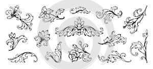 Baroque ornament. Vintage floral border elements, engraved leaves and frame filigree arabesque. Vector decorative photo