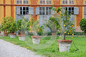 Baroque palace and park of Villa Sorra. Castelfranco Emilia, Mod