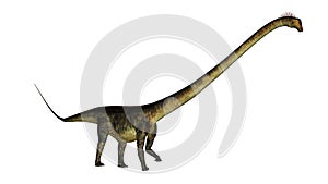 Barosaurus dinosaur walk - 3D render