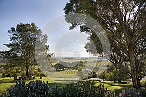 The Barossa Valley