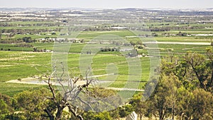 Barossa Valley