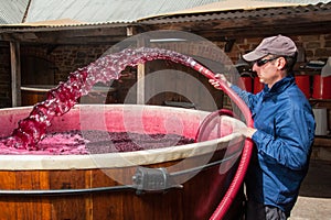 Pumping over fermenting grapes in Barossa Valley winery