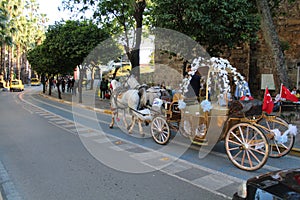 Barouche likes a bride car.