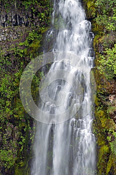 Barr Creek Falls in Prospect State Park, Oregon, USA