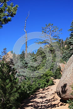Barr Trail, Pikes Peak