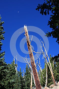 Barr Trail, Pikes Peak