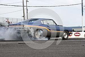 Barracuda in action on the track