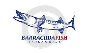 Barracuda fish design vector illustration, Creative Barracuda fish logo design concepts template, icon symbol photo