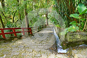 Natural national park barranca del cupatitzio, uruapan michoacan, mexico. photo