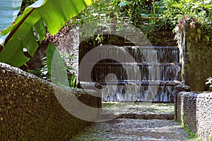 Natural national park barranca del cupatitzio, uruapan michoacan, mexico. photo