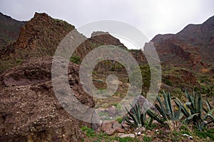 Barranco de Guayadeque photo