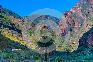 Barranco de Guayadeque valley at Gran Canaria, Canary islands, Spain photo