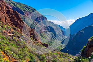 Barranco de Guayadeque valley at Gran Canaria, Canary islands, Spain photo