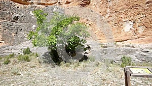 Barranco de la Hoz Seca canyon next to Jaraba