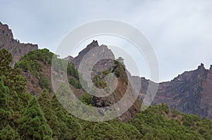 Barranco de las Angustias gorge in La Caldera de Taburiente in La Palma photo