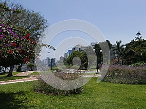 Barranco ornamental garden in a park of Lima