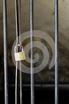 Barred Gate with Padlock photo