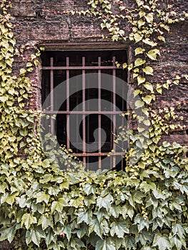 Barred window