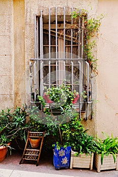 Barred window with many plants in Le Panier, Marseille, France