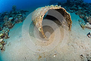 Barrel at the bottom of the sea